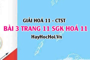 Giải bài 3 trang 11 Hoá 11 SGK Chân trời sáng tạo